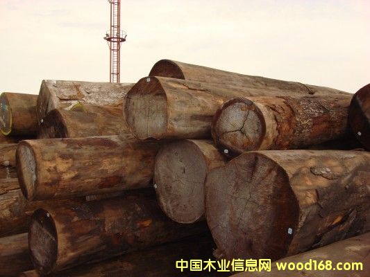 �����һ�оԭľ��Ԕ��(x��)��B