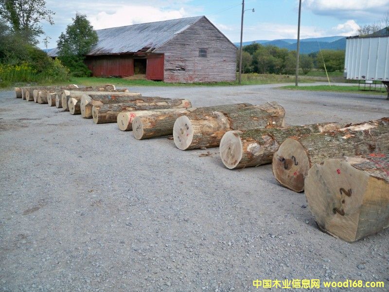 �t��ԭľ��Ԕ��(x��)��B