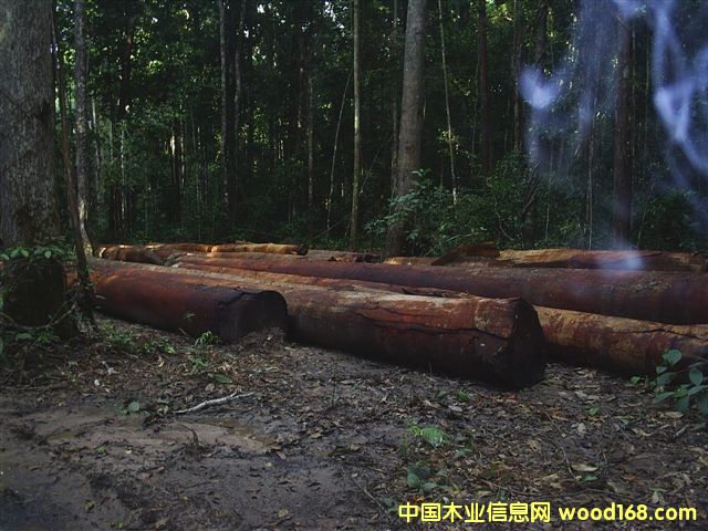 �����Kľ��Ԕ��(x��)��B