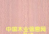 �c���鿴ɳؐ���Ŵ�DƬ