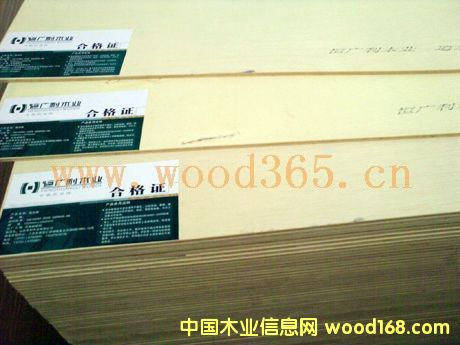 �c���鿴ɼľ��ľ����Ŵ�DƬ