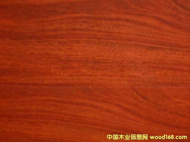 �c���鿴��ȫ���ƻվ��h(hu��n)��ϵ�еذ�Ŵ�DƬ