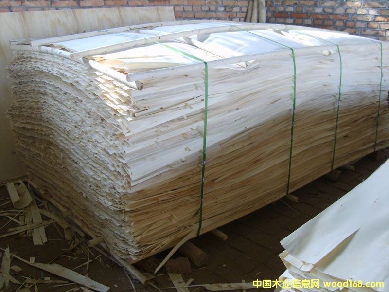 �c(di��n)���鿴��ľƤ�Ŵ�DƬ