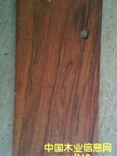 ����t��֦��Ԕ��(x��)��B