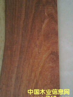 ���齛(j��ng)��֦��Ԕ��(x��)��B