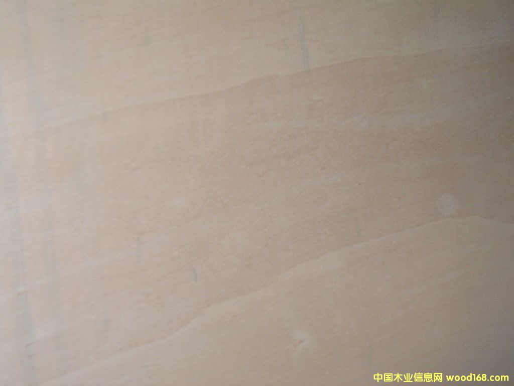 �c(di��n)���鿴��ľ�Ŵ�DƬ