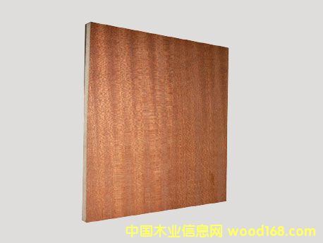 �c(di��n)���鿴ɳ�����Ŵ�DƬ