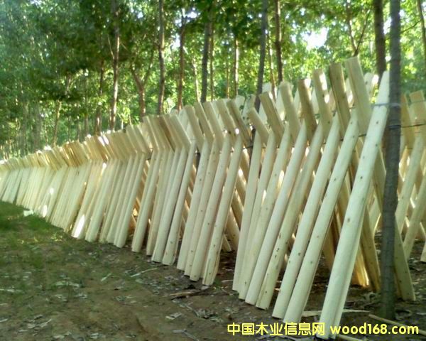 �c���鿴2.6����Ƥ�Ŵ�DƬ