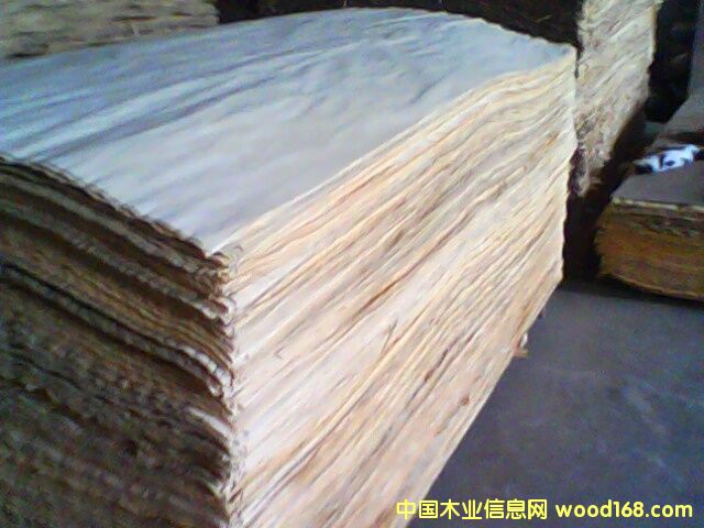 �c(di��n)���鿴��ľ�ΰ�Ŵ�DƬ