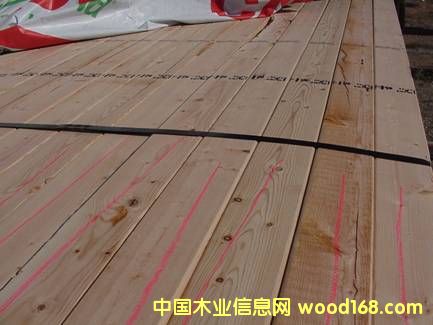 ���� ��SPF)��Ԕ����B