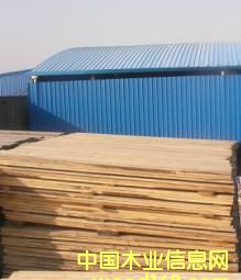 ���ɰ�ĵ�Ԕ��(x��)��B