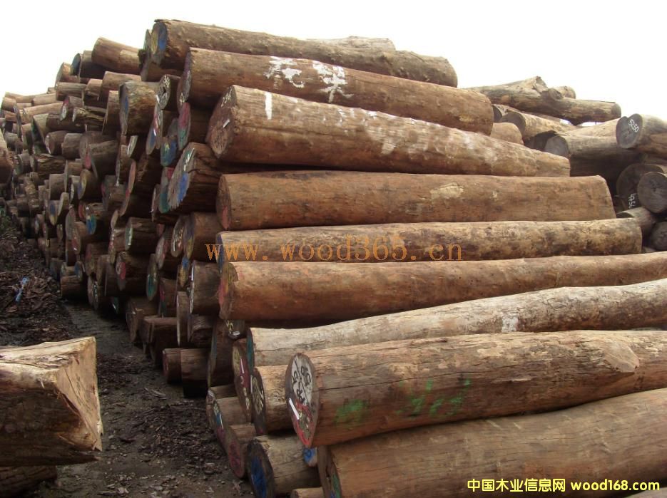 ���黨���Ԕ��(x��)��B