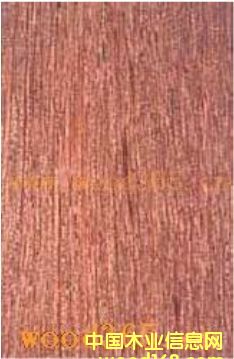 ��¡ľ��Ԕ��(x��)��B