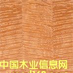 �c(di��n)���鿴�tӰ�Ŵ�DƬ