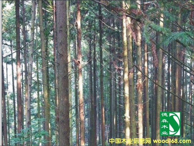 �c(di��n)���鿴ɼľ�ֵ�Ԕ��(x��)�Y��