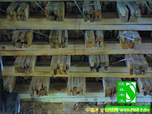 �c���鿴�sľ�l�Ŵ�DƬ