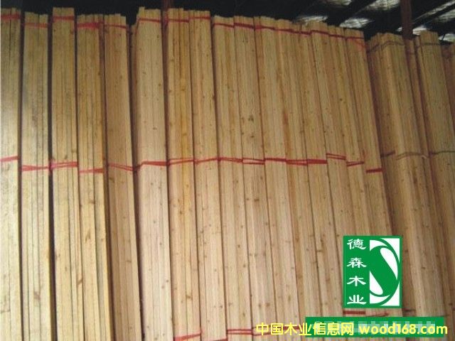 �c���鿴ɼľ�l�Ŵ�DƬ