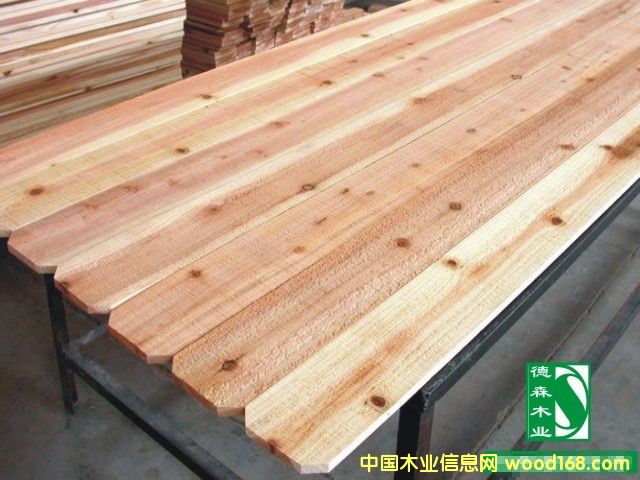 �c���鿴ɼľ��Ŵ�DƬ