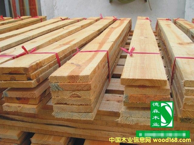 �c���鿴��ľ��ķŴ�DƬ