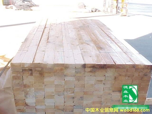 �c���鿴��ľ���ϷŴ�DƬ