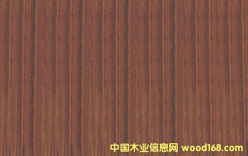 �c���鿴6�Ŵ�DƬ