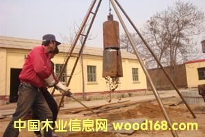 �c���鿴���M���ܵػ��򘶙C�Ŵ�DƬ