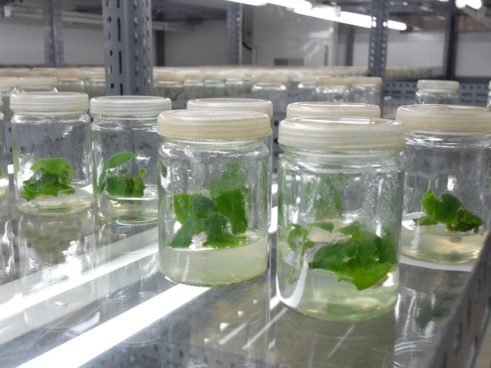 �c(di��n)���鿴�M���s����ͩ�Ŵ�DƬ