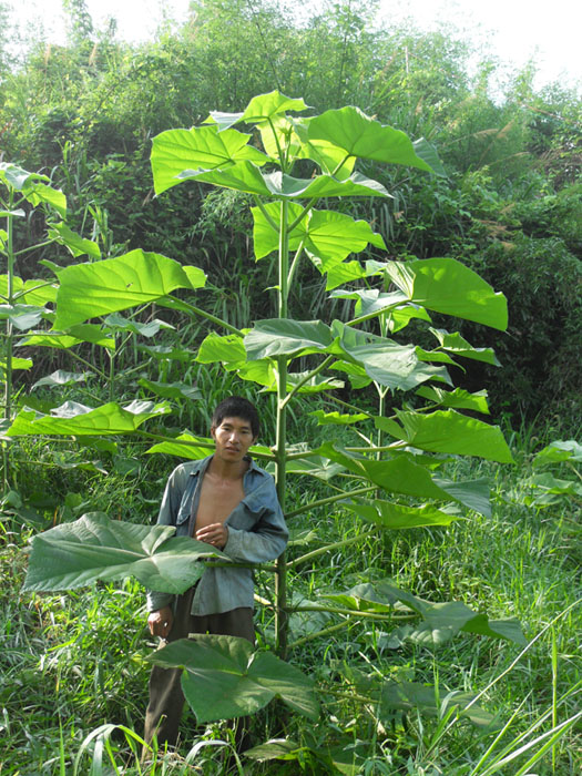 �c(di��n)���鿴3��(g��)���s����ͩ��Ŵ�DƬ