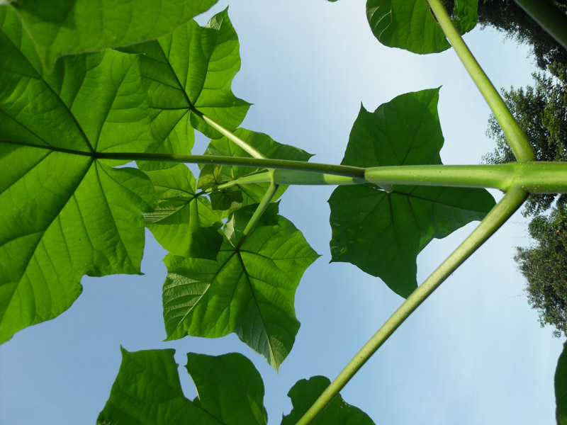 �c(di��n)���鿴3��(g��)���s����ͩ��Ŵ�DƬ