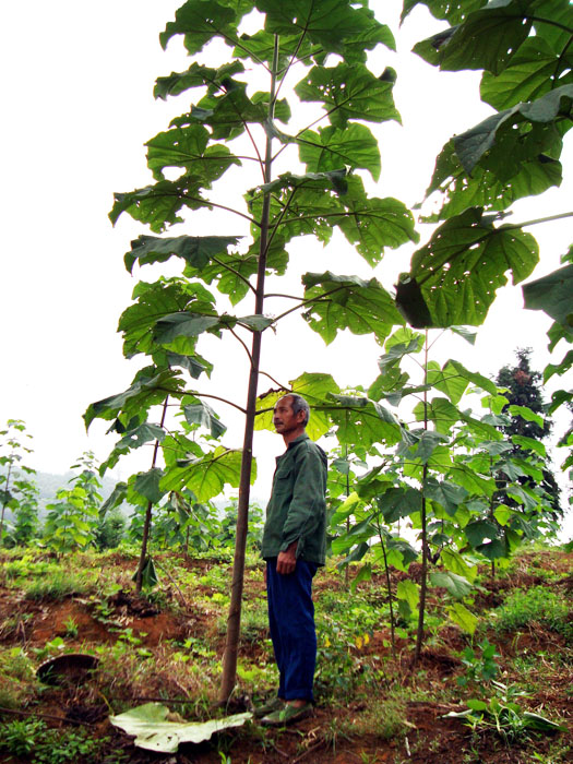 �c(di��n)���鿴6��(g��)���s����ͩ��Ŵ�DƬ