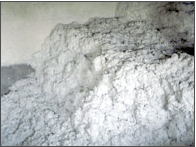 �c(di��n)���鿴ľ�|(zh��)���w�S�Ŵ�DƬ