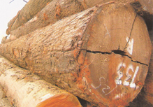 �c(di��n)���鿴�F���ӷŴ�DƬ