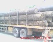 �c(di��n)���鿴������ľ�Ŵ�DƬ