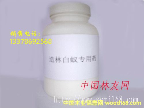 �c���鿴���ְ�ρˎ�Ŵ�DƬ