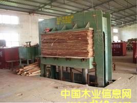 �z�ϰ��Ԕ����B