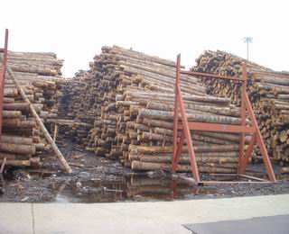 �c(di��n)���鿴����ԭľ�Ŵ�DƬ