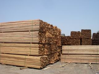 �c(di��n)���鿴������ľ���Ŵ�DƬ