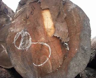 �c(di��n)���鿴��ɼԭľ�Ŵ�DƬ