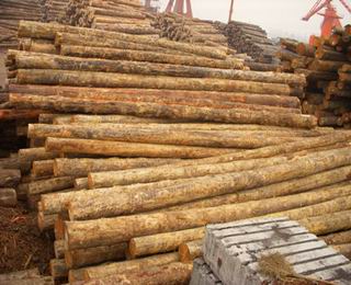 �c(di��n)���鿴�Fɼԭľ�Ŵ�DƬ