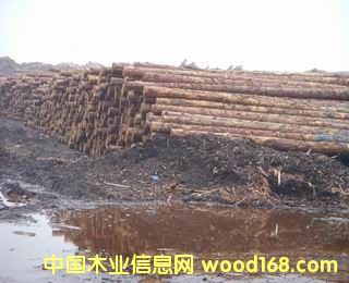 �c(di��n)���鿴���~��ԭľ��Ԕ��(x��)�Y��