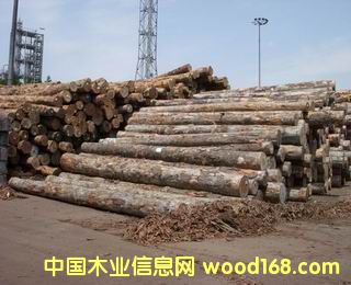 �c(di��n)���鿴ݗ����ԭľ��Ԕ��(x��)�Y��