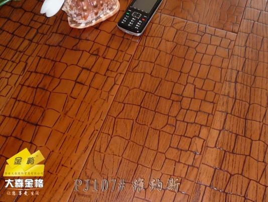 �c���鿴PJ107#�S�{˹�Ŵ�DƬ