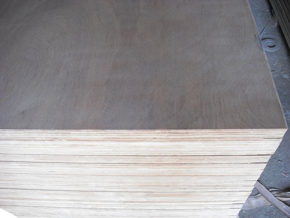 �c���鿴���b��ľ�ذ�Ŵ�DƬ