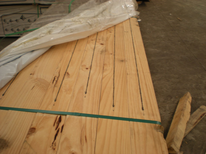 �����mݗ���ɵ�Ԕ����B