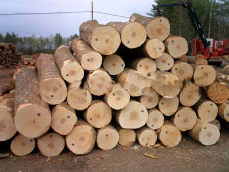 �c���鿴Ӳ���Ŵ�DƬ