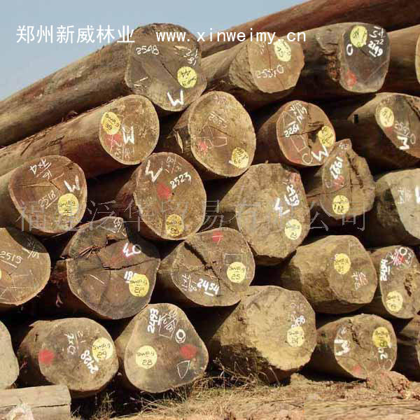 �c(di��n)���鿴�|ݸɳ��ԭľ/ľ���M(j��n)�����P(gu��n)������Ԕ��(x��)�Y��