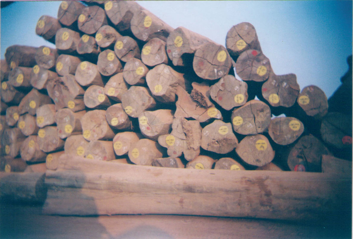 �c���鿴��Ƥ�M�� ��Ƥ�M�ڈ��P(gu��n) ��Ƥ�M�ڈ��P(gu��n)���� ��Ƥ�M�����P(gu��n)��Ԕ���Y��