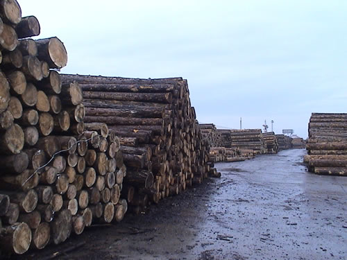 �c(di��n)���鿴����/����//�|�ρ�/���_˹ľ���M(j��n)�ڈ�(b��o)�P(gu��n)�����Ŵ�DƬ