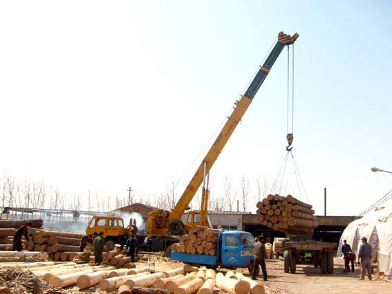 �c(di��n)���鿴ľ���M(j��n)�ڛ](m��i)�Юa(ch��n)���C/�����C/�lΣ�C��ô���k?�Ŵ�DƬ