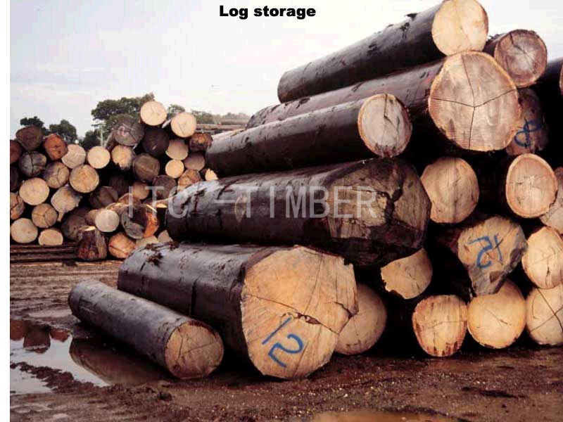 �c���鿴����ԭľ�M�����P(gu��n)���ʹ�����Ԕ���Y��